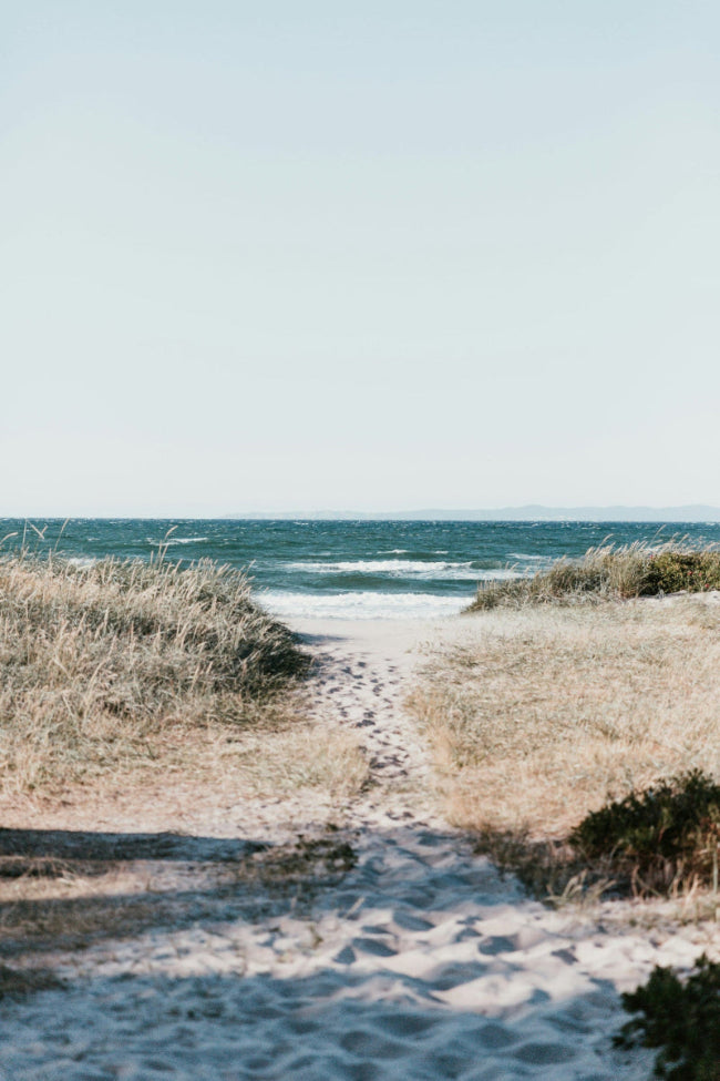 Path through dunes leading to the sea in natural summer light | Sti gennem klitter ned til havet i naturligt sommerlys.